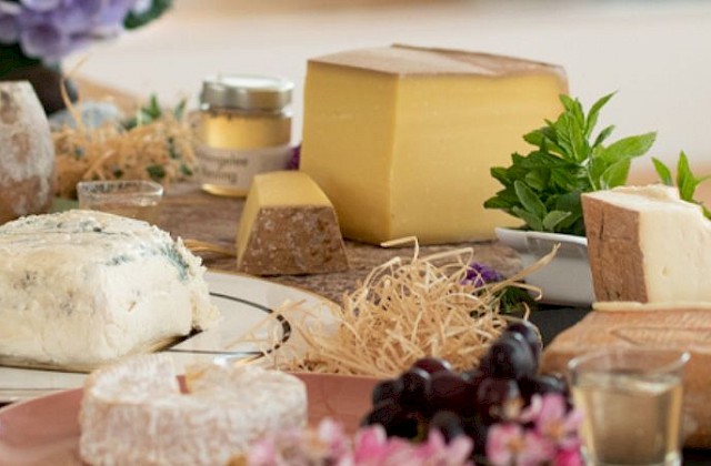 Vorstellung unserer Käse - Teil 1