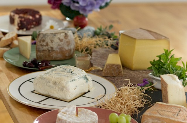Käse Tasting Online